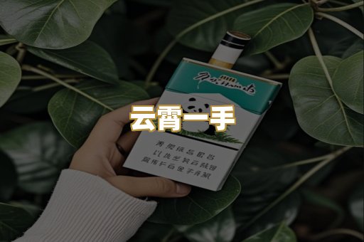 云霄一手